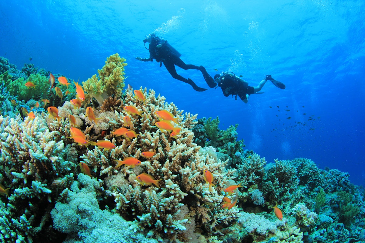 Dive into the fascinating underwater world of the Pakleni Islands, Rab Island, Vis, Galesnjak and Šolta.