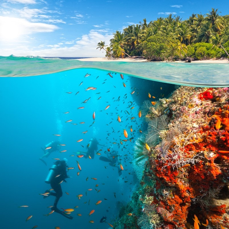 Floating on the water offers a unique opportunity to explore the underwater world. Discover the 50 most stunning snorkelling and scuba-diving spots around the globe.