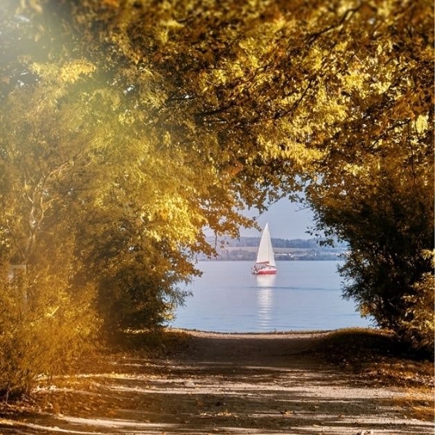 Autumn is the best time of year for many sailors and we know why. Discover the magic of autumn sailing with us.
