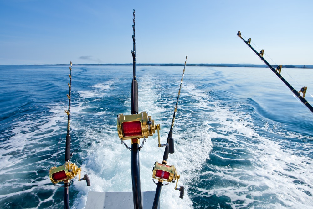 Combine two hobbies and head out on your boat with a fishing rod in hand. These destinations are absolutely teeming with fish.