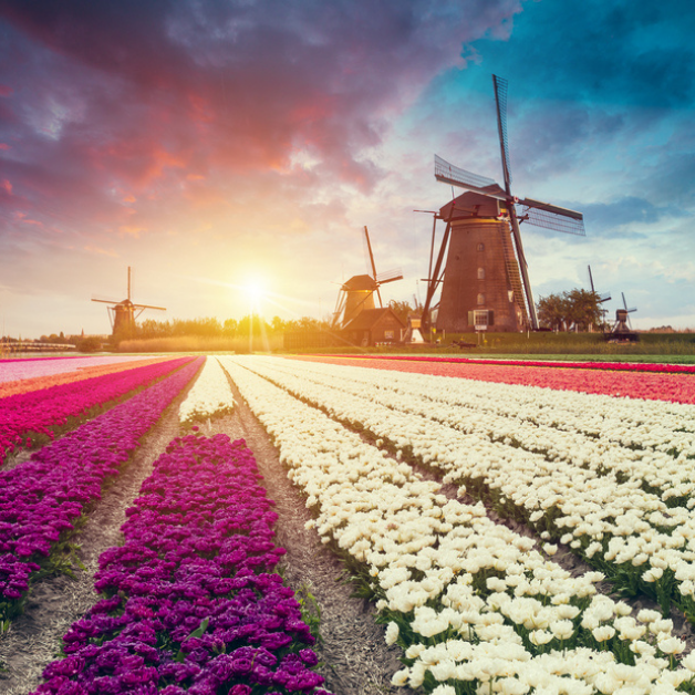 Would you like to go on a nice holiday on a houseboat? How about a visit to Holland? We'll tell you which places you shouldn't miss and recommend things to do.