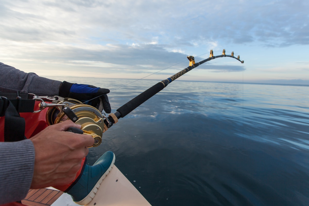 Are you a fishing enthusiast planning to sail in Croatia? Whether you're a sailor or a fishing enthusiast, these tips will help you make the most of your trip.