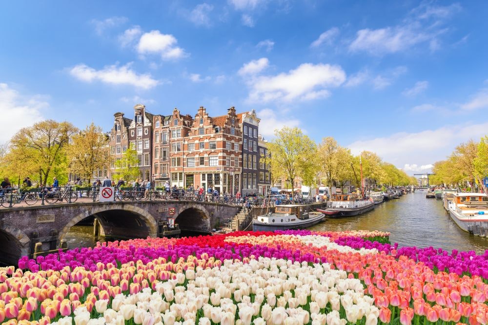 Kunst und Architektur Segeln Sie entlang der Vecht und bewundern Sie die Uferpromenade und die Häuser. Besuchen Sie das kulturelle und kosmopolitische Amsterdam. Bewundern Sie exquisit geschliffene Edelsteine oder entdecken Sie die Werke weltberühmter Künstler.
