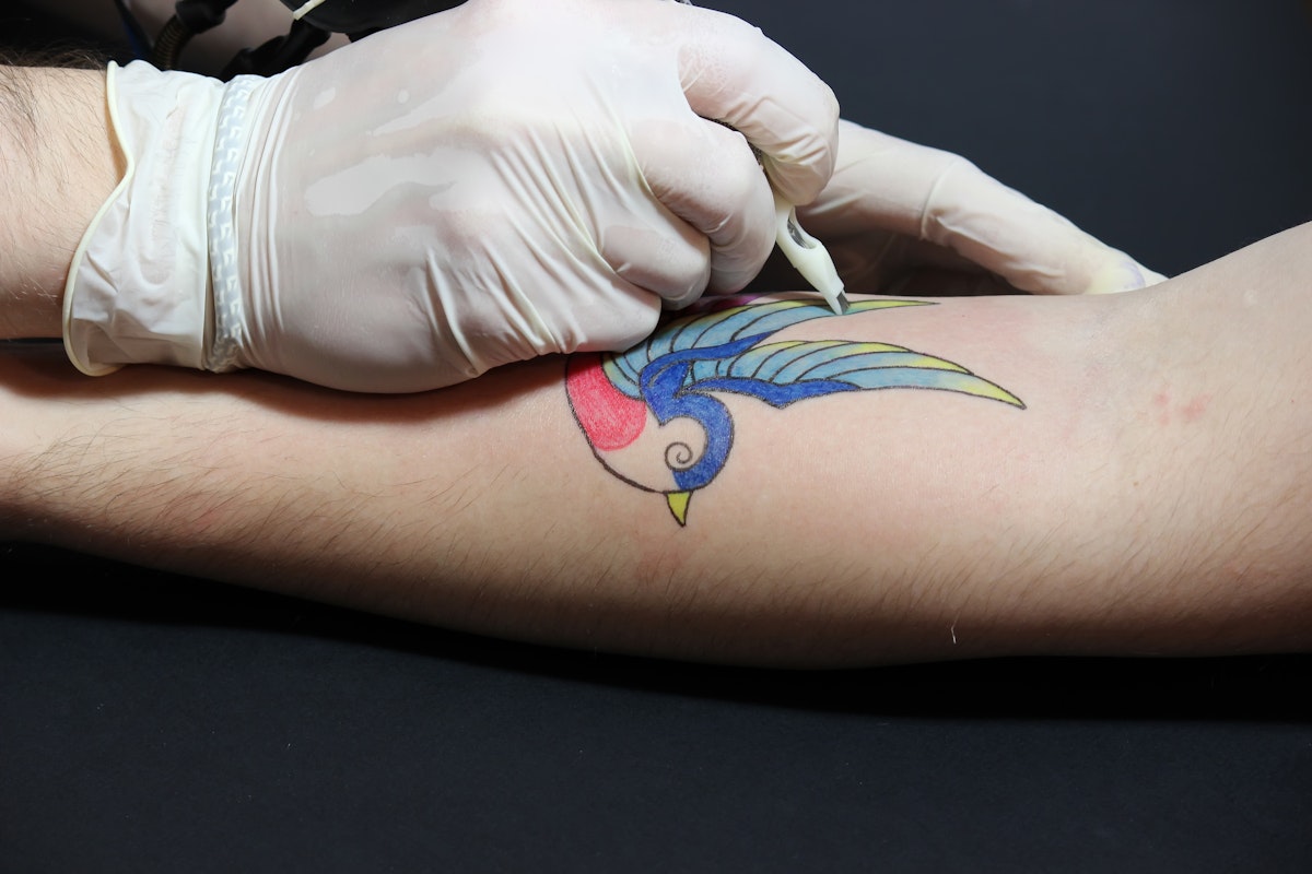 Traditional sailor tattoos: Meaning of the swallow