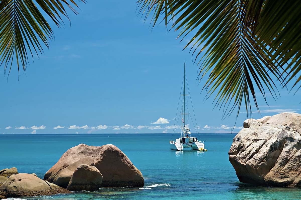 Kristallklares Meer, Sandstrände mit Kokosnusspalmen und Riesenschildkröten auf den schönsten Inseln der Welt. Das sind die Seychellen!
