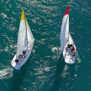 Explore the dynamic realm of sailboat racing, where skill, strategy, and teamwork converge for a high-stakes adventure.