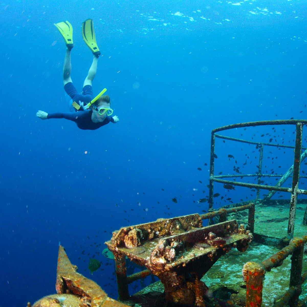 Take a deep dive into history by snorkelling around the captivating wrecks scattered across the Mediterranean. Discover submerged treasures in Greece, Cyprus, Malta, and Italy, where the past and present intermingle beneath the waves.