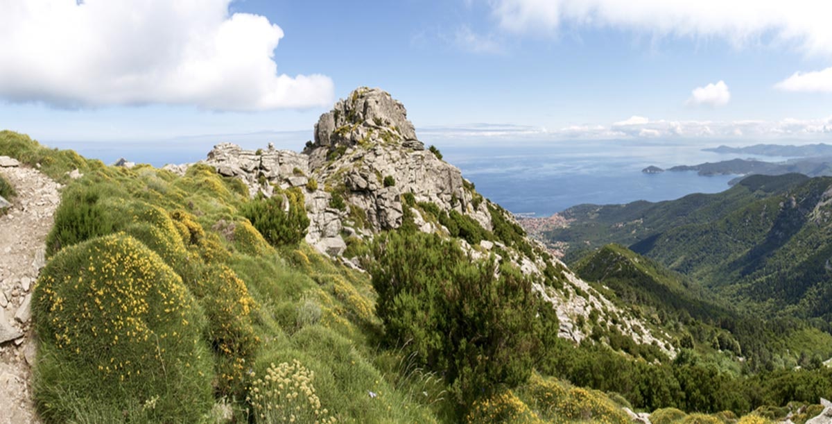 The highest mountain of Elba Monte Capanne