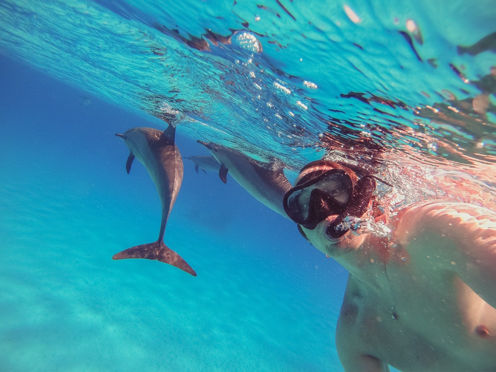 Selv om det handler om flaks og tilfeldigheter, er det ikke umulig å snorkle med delfiner og hvaler i Middelhavet.
