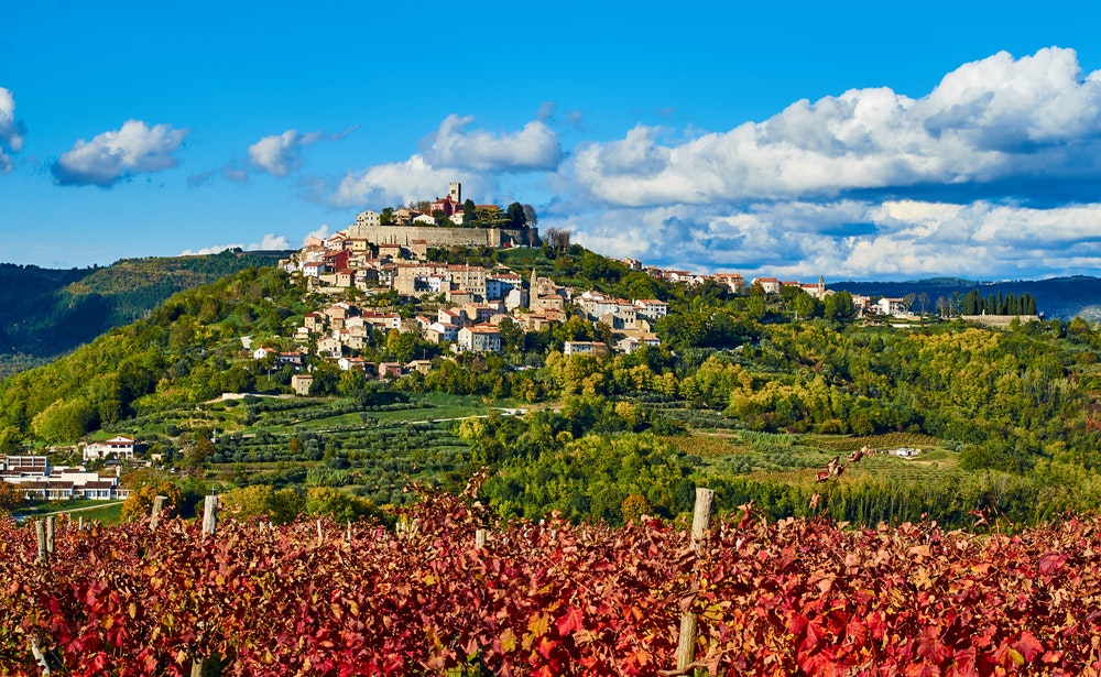 Motovun at autumn Istria
