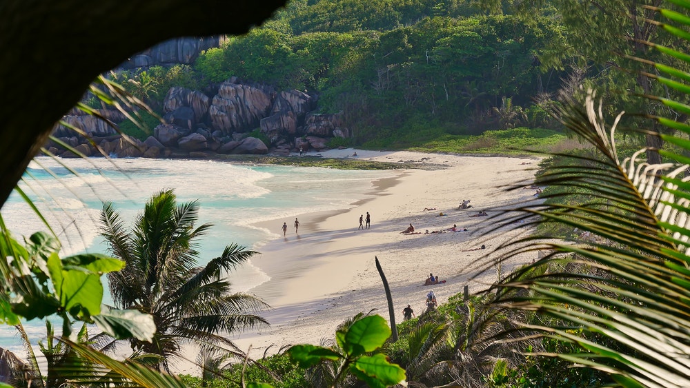 En utsikt gjennom vegetasjonen av turister som soler seg på den vakre tropiske stranden Grand Anse sør på øya La Digue, Seychellene.