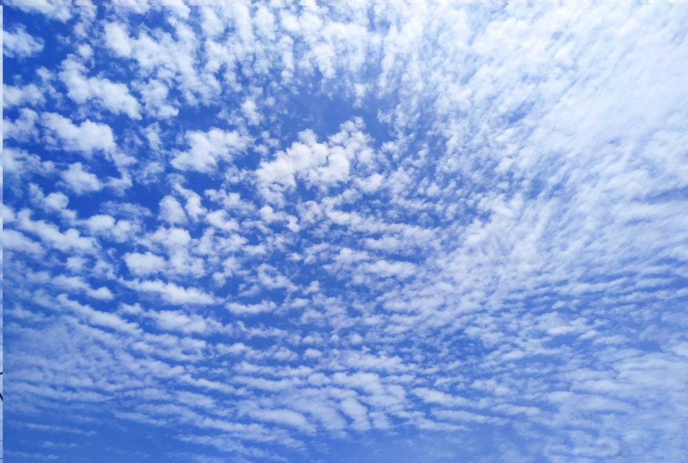 Cirrocumulus in the highest level of the sky.