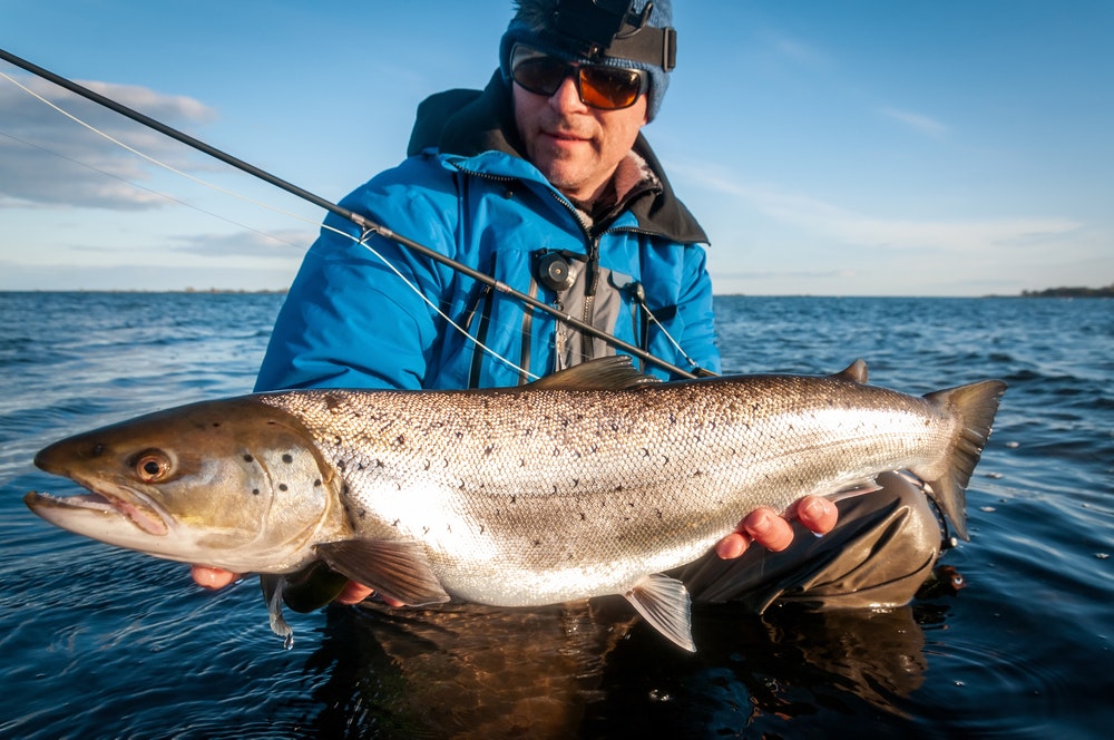 Fiske er en av de mest populære aktivitetene, spesielt i Norge