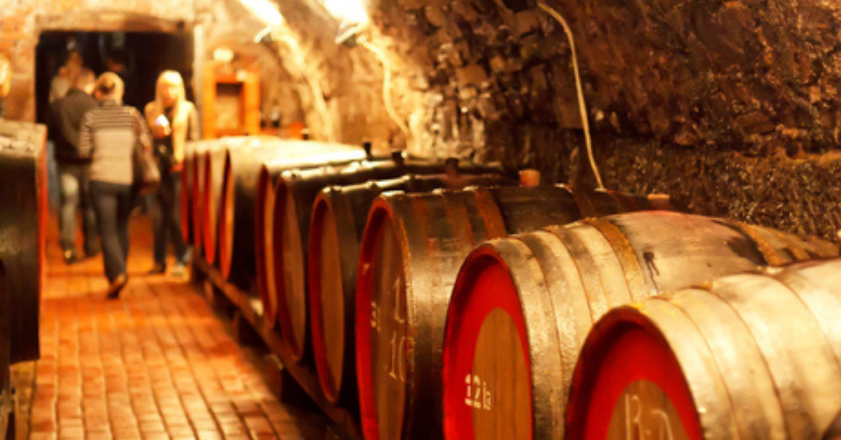 Excursion to a wine cellar