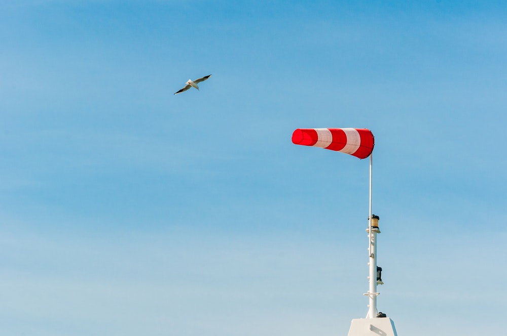 Vodorovně letící větrná korouhvička s modrou oblohou v pozadí. Rackové létající kolem.