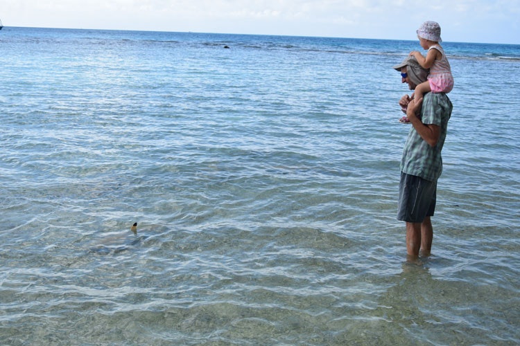 Jiří Denk with daughter and blacktip sharks in French Polynesia