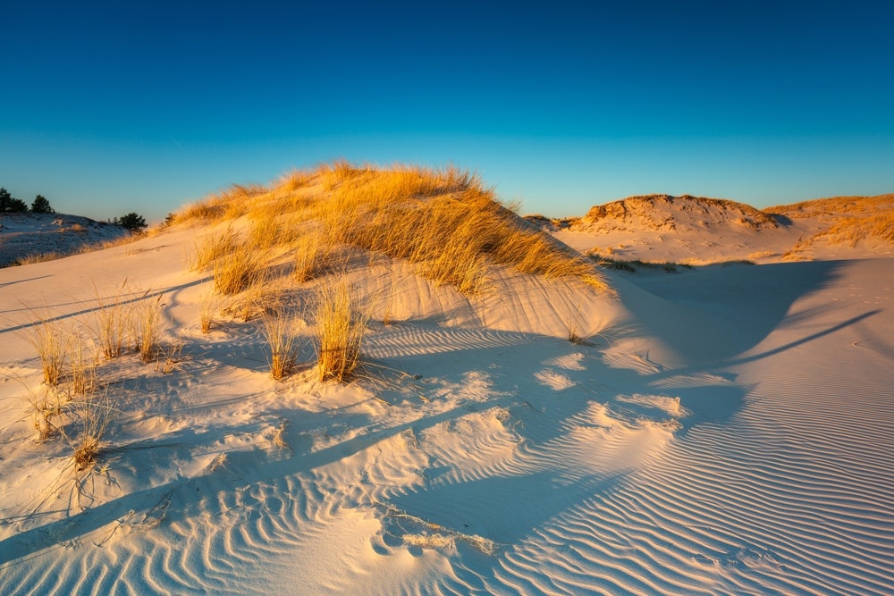 Krásná scenérie písečných dun v národním parku Slowinski při západu slunce, Leba. Polsko