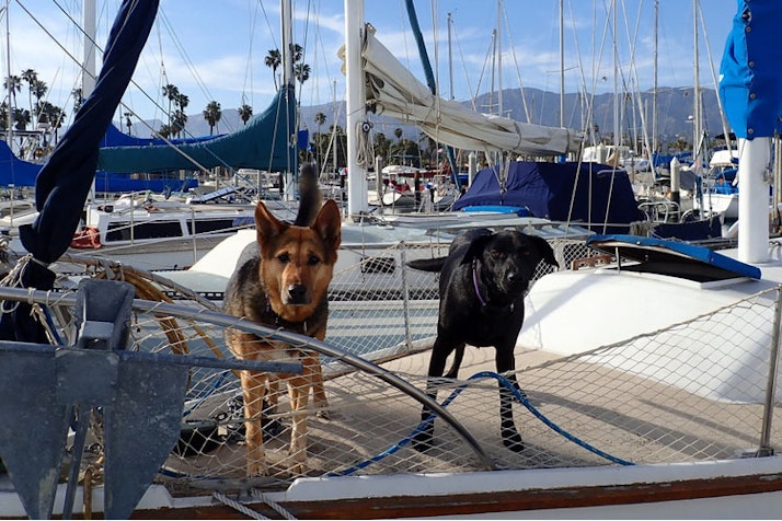 Ověřte si u charterové společnosti, zda akceptují psa na palubě 