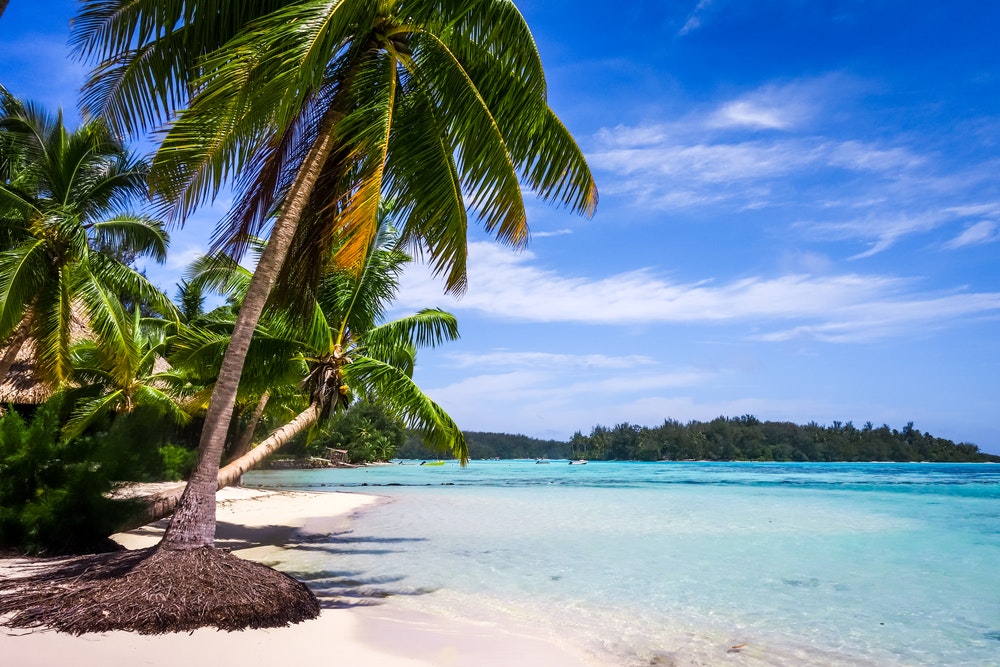 Moorea adasında cennet tropikal plaj ve lagün. Fransız Polinezyası