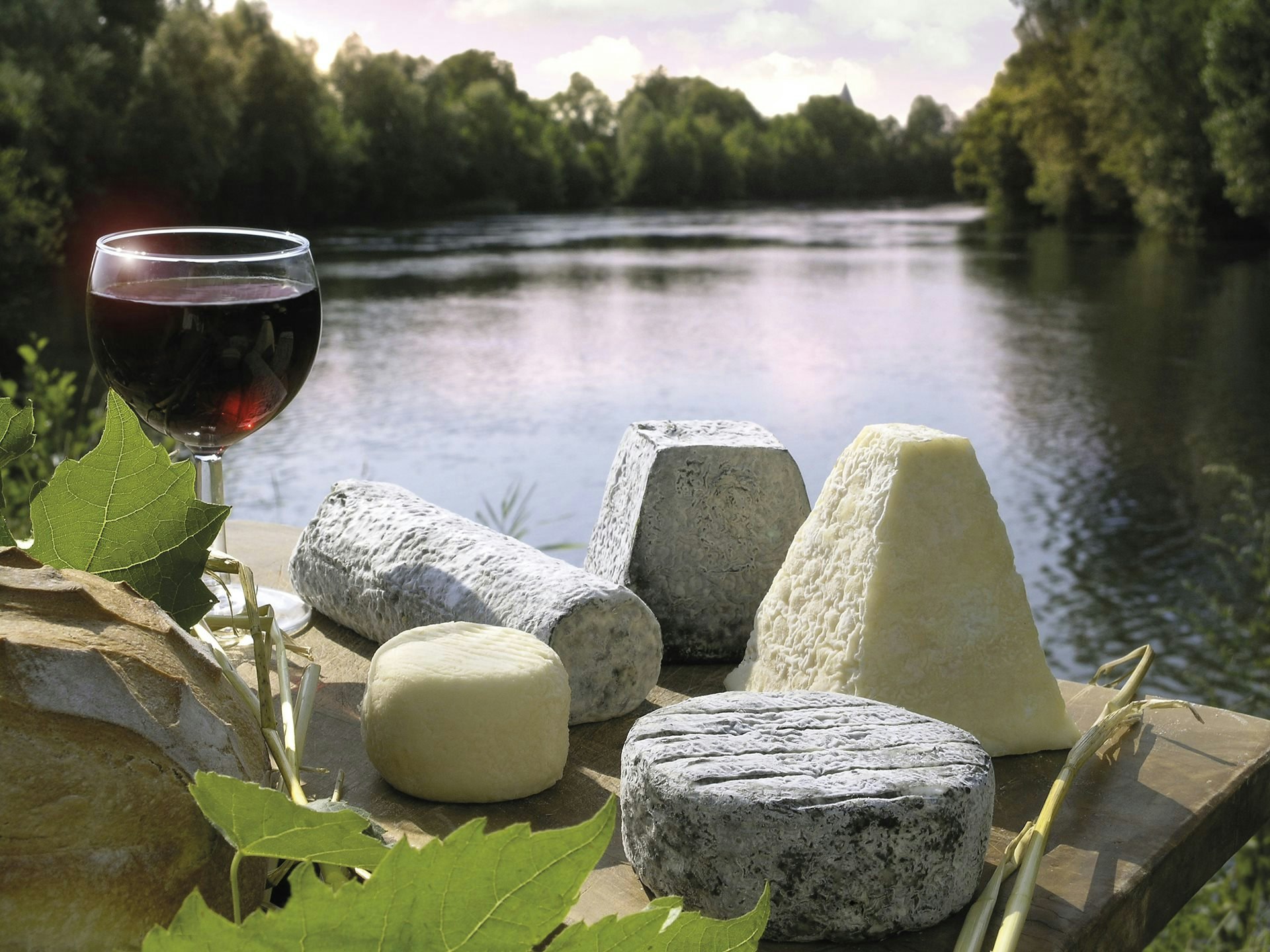 A selection of French cheeses and red wine with a view of the water channel, Burgundy.