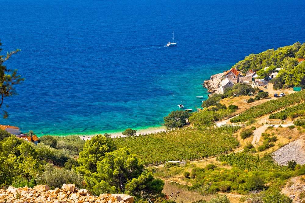 Vynuogynas ir paplūdimys vaizdingame kaime Farska įlankoje, Bračo saloje, Dalmatijoje, Kroatijoje
