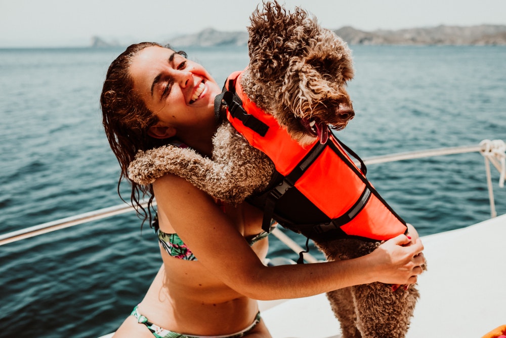 A dog in a life jacket on board a sailboat