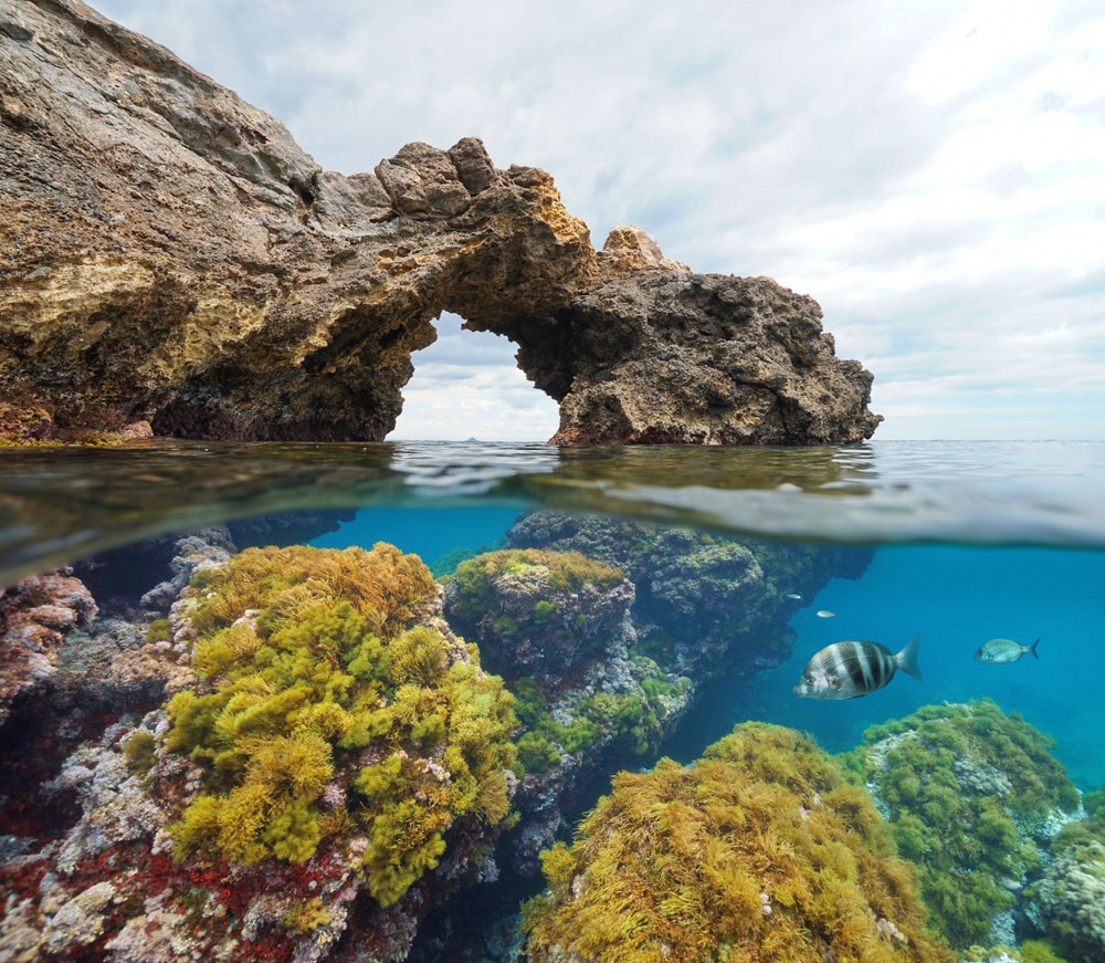 Rock formation natural arch with seaweed and fish underwater,