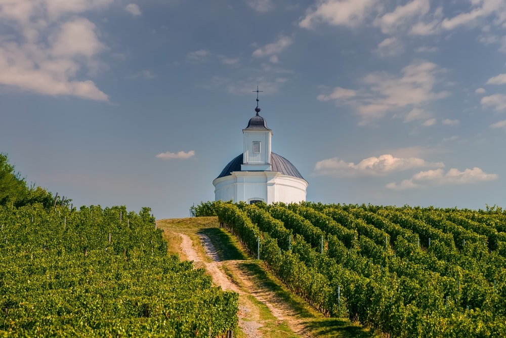 Terezská kaple s vinicemi v oblasti Tokaj v Maďarsku.