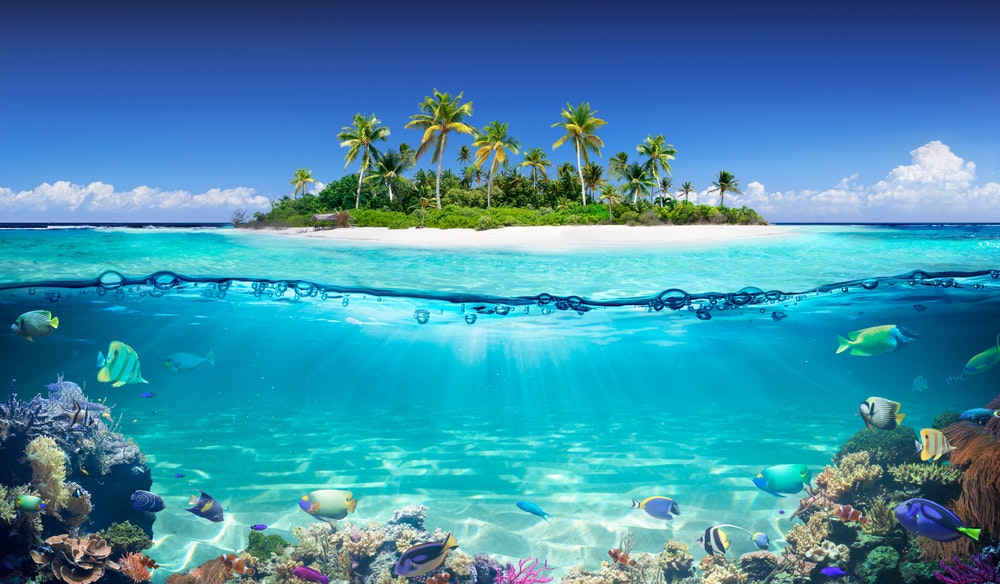 Tropical island and coral reef 