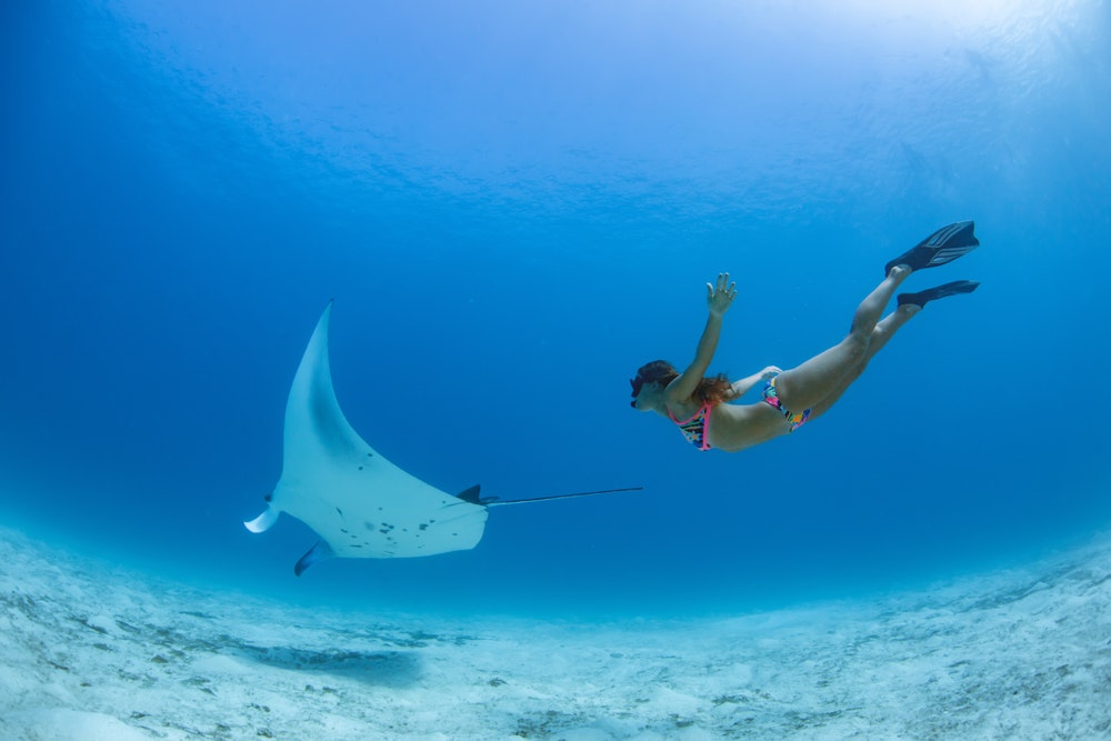 Woman with snorkel underwater with giant manta ray