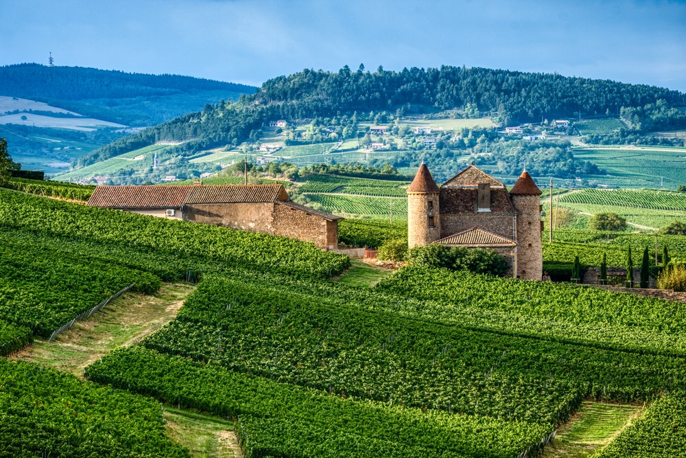 Vaizdas į pietų Burgundijos vynuogynus su akmeniniu pastatu