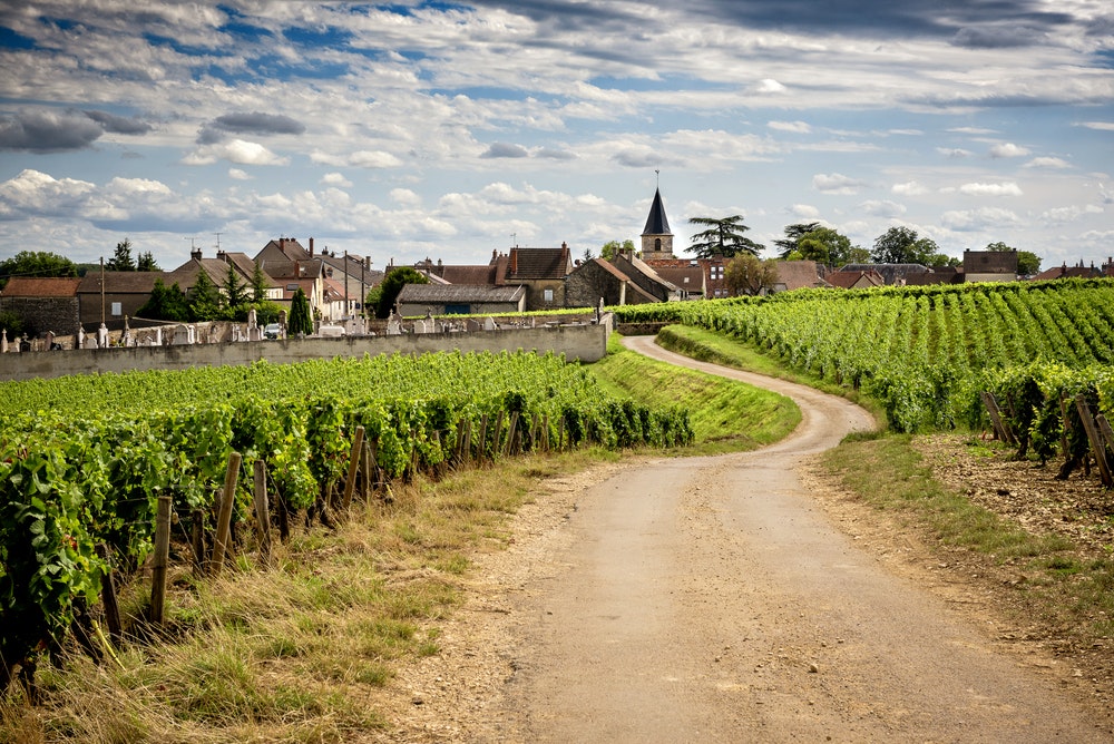 . Cesta ve vinicích vedoucí do obce Vosne-Romanée. Francie