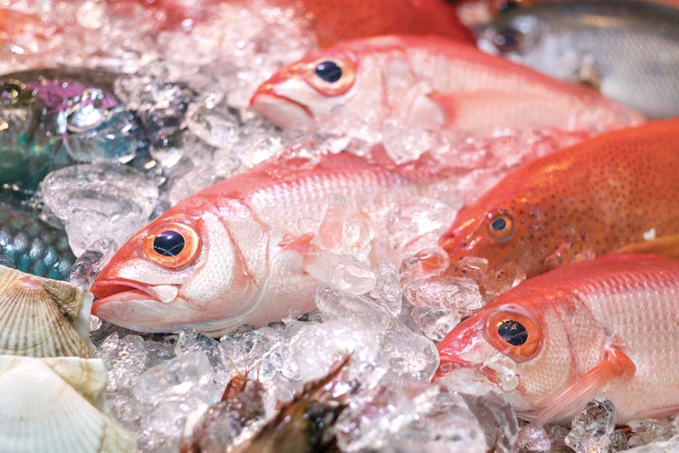 Frischer Fisch auf lokalen Makishi-Märkten in Naha