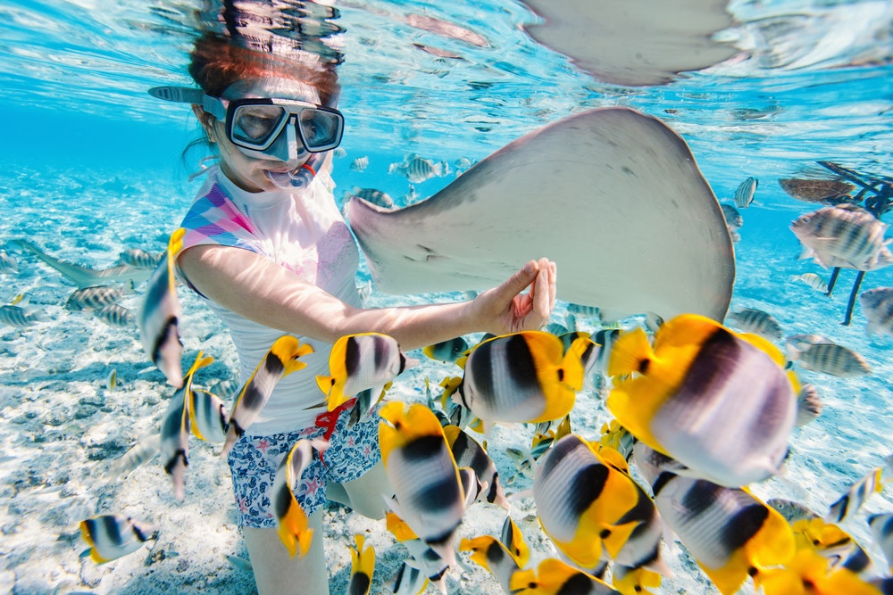 Kobieta nurkująca w czystej tropikalnej wodzie wśród kolorowych rybek
