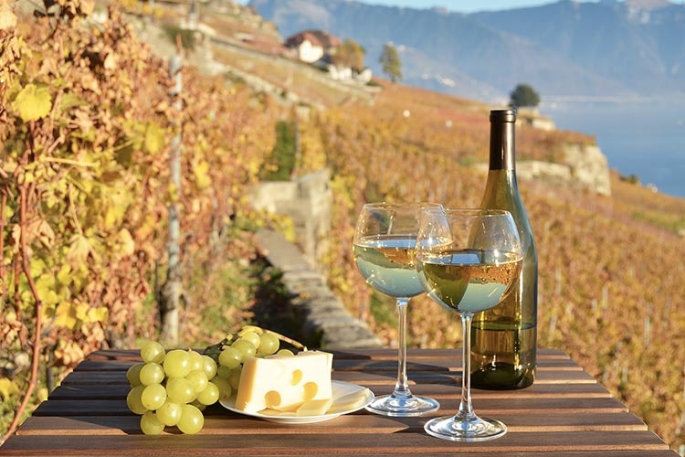 Itališkas vynas ir sūris