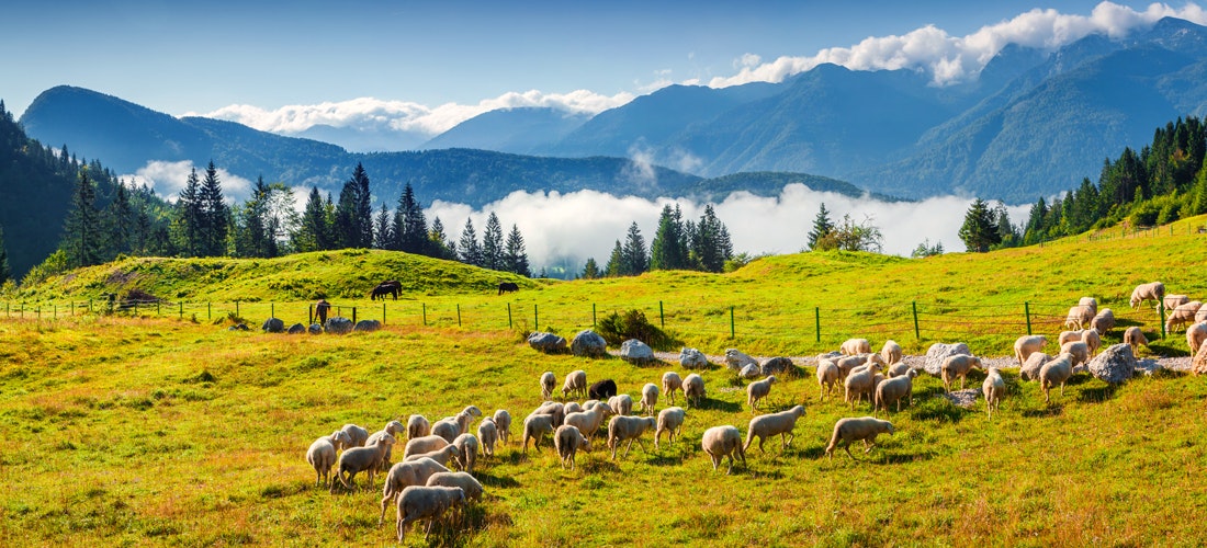 Národní park Triglav - Julských Alpách