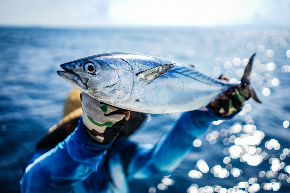 Rybaření a jachting: Kam plout za nejlepšími úlovky? 