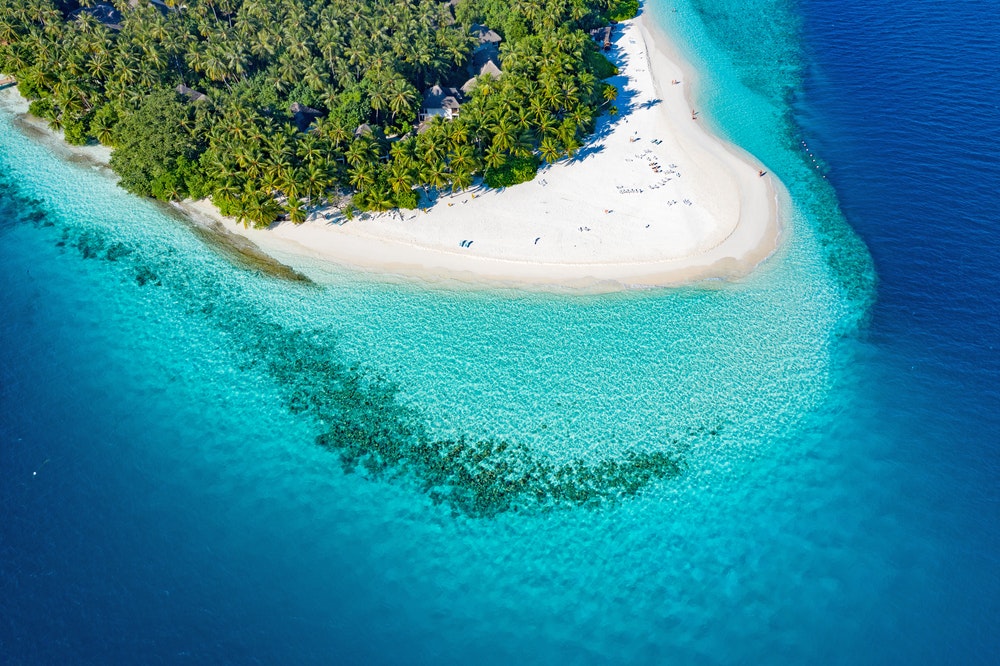 Turkuaz suyu, beyaz kumu ve palmiye ağaçları ile Maldivler adası.