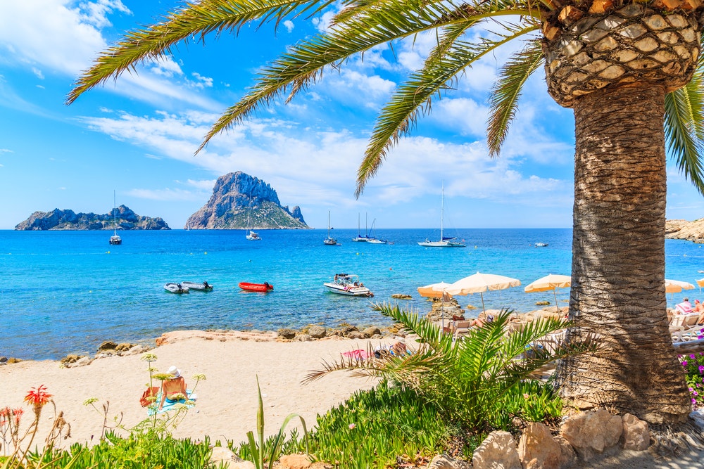 View of the idyllic beach of Cala d'Hort with a palm tree in the foreground, Ibiza Island, Spain