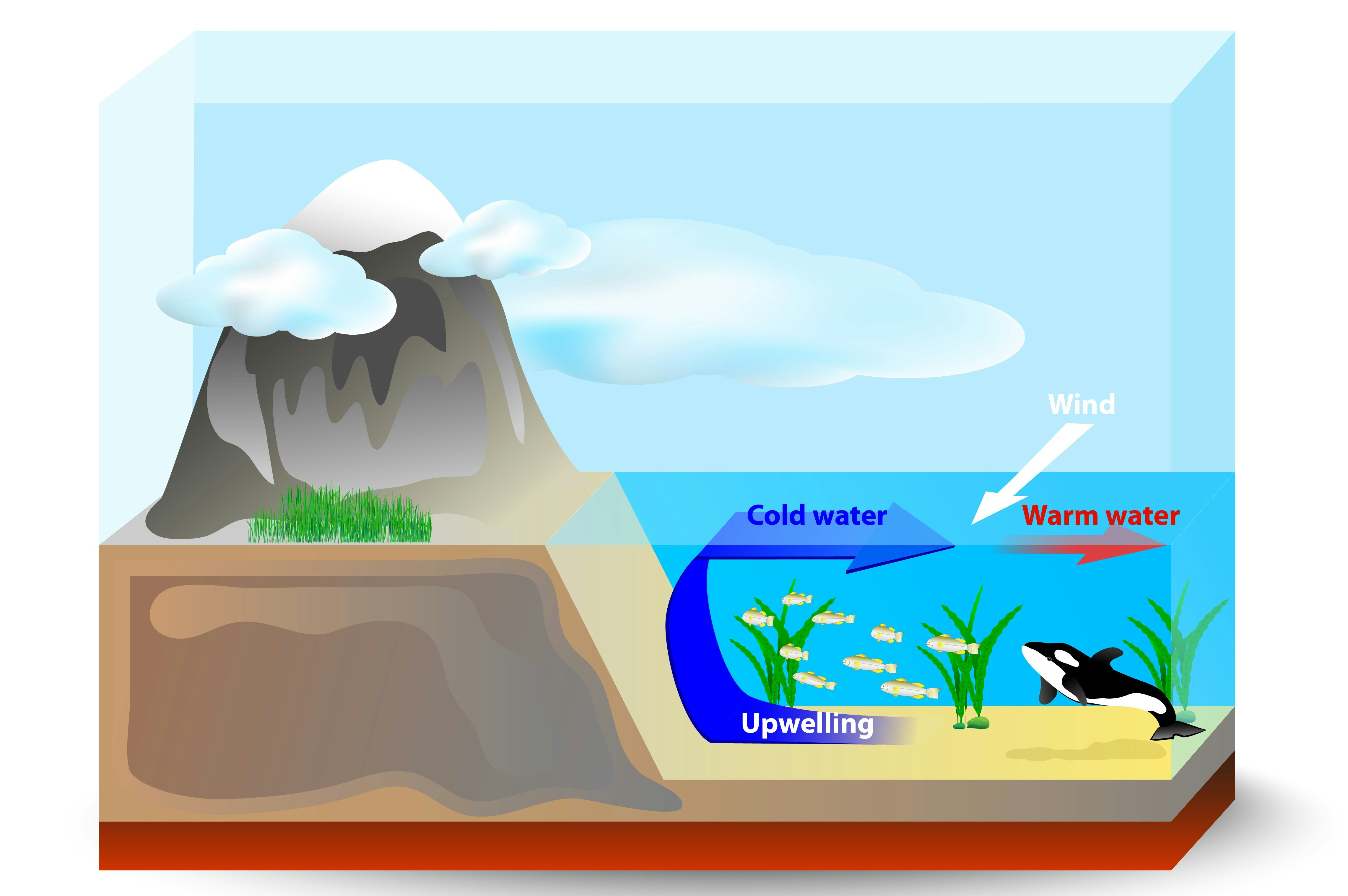 Diagram over blanding av overflate- og dyphavsvann, Oppadgående strømmer bringer kaldt vann fra havbunnen til overflaten