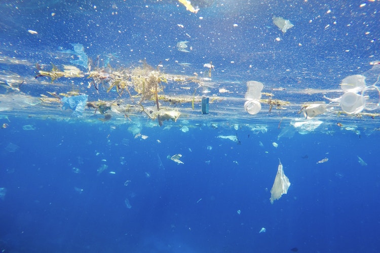 Sjøforurensning av plast