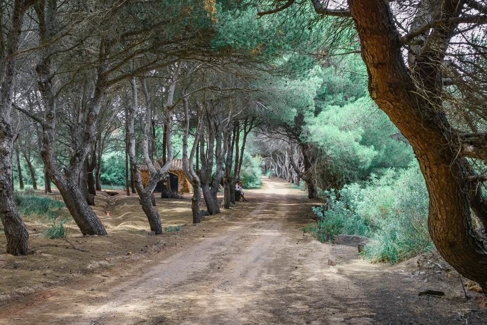 Camí de Cavalls_Menorca