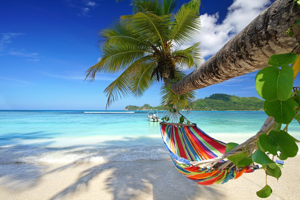 Egzotik bir adanın sahilinde bir palmiye ağacında asılı hamak veya hamak.